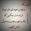 عکس کاربر - امیر مهدی سوری