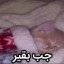 عکس کاربر - کئو
