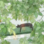 عکس کاربر - 𝆒٭—