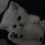 عکس کاربر - 🎀𝑳𝒖𝒄𝒚🐾𝑹𝑺𝑹𓃠
