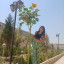 عکس کاربر - رزی
