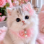 عکس کاربر - 🎀𝐋𝐮𝐜𝐲⋆°𓃠