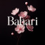 عکس کاربر - محمدعلی بهاری