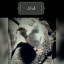 عکس کاربر - مهدی یار حیببی