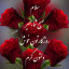 عکس کاربر - زنوبه سلامات