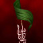 عکس کاربر - قاسم نعامی