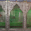 عکس کاربر - علیرضا