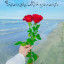 عکس کاربر - ...
