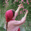 عکس کاربر - negin