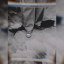 عکس کاربر - 🖤Ayda🖤