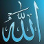 عکس کاربر - صدرا