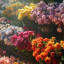 عکس کاربر - 💐🪻