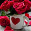 عکس کاربر - فاطمه نوری