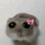 عکس کاربر - ⋆🐾°𝑬𝒍𝒊💋𝒏𝒂🧸ྀི