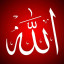 عکس کاربر - امین داودی