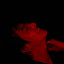 عکس کاربر - . 전정국.