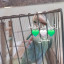 عکس کاربر - آرتین مرادوند 💚🤍💚[عشق]