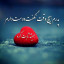 عکس کاربر - ئییabd