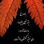 عکس کاربر - rayan