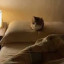 عکس کاربر - 💛🐱meowl🦉🍀
