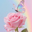 عکس کاربر - 💖زهرا محمد علی پور💗