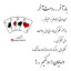 عکس کاربر - سعیده