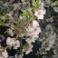 عکس کاربر - بهار سرسبز