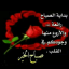 عکس کاربر - امیر