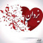 عکس کاربر - یزدان
