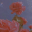 عکس کاربر - نازنین