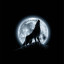 عکس کاربر - I Am WOLF