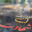 عکس کاربر - شهادت