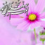 عکس کاربر - sr_zagros