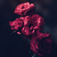 عکس کاربر - OMID