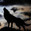 عکس کاربر - I Am WOLF