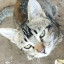عکس کاربر - Hosna