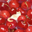 عکس کاربر - 🍓 کوچولو 🍓