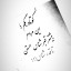 عکس کاربر - محمد حسن شمسی