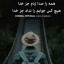 عکس کاربر - nim2013