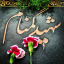 عکس کاربر - مجید عابدی