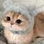عکس کاربر - HeLmA(#^.^#)