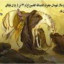 عکس کاربر - امی