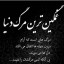 عکس کاربر - محمد 