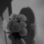 عکس کاربر - فالوت کردم=فالو کن