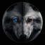 عکس کاربر - RADIN DARK LIGHT