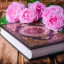 عکس کاربر - 🌷atrin katirach 🌷