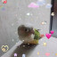 عکس کاربر - nila 🎀&amp; chiko🌸