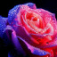 عکس کاربر - م مثه.....