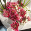 عکس کاربر - فاطمه حیدری