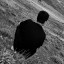 عکس کاربر -  محمد طاها